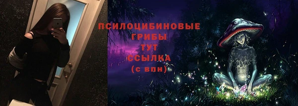 apvp Абаза