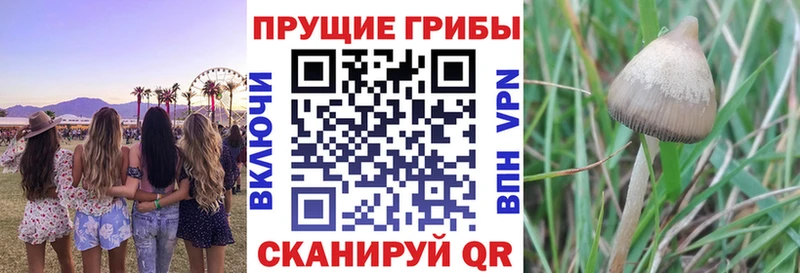 KRAKEN закладки Белоусово Галлюциногенные грибы прущие грибы